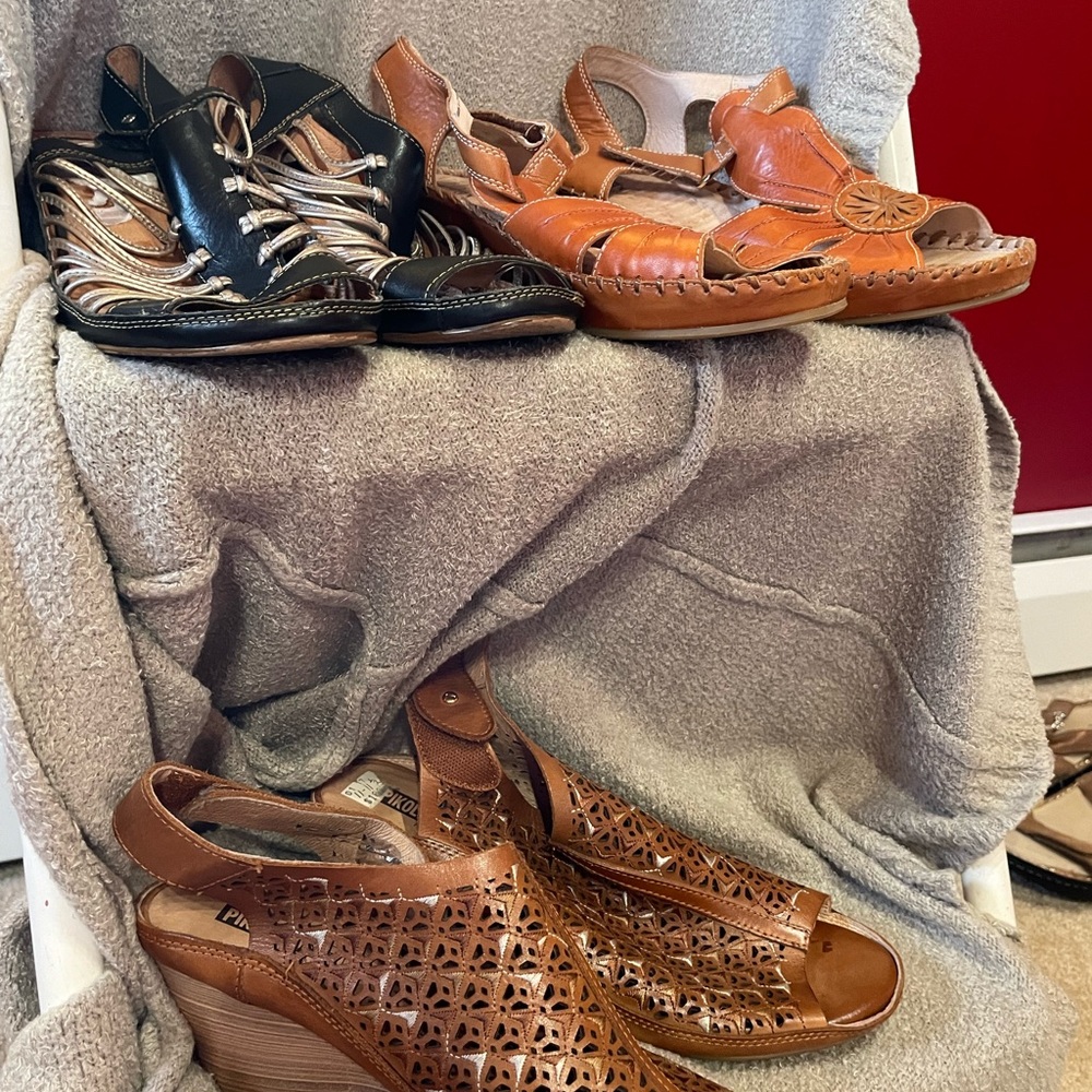 *****END OF SEASON CLEARANCE ******